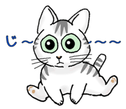 Stray cats in the garden. + kittens sticker #15553090