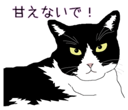 Stray cats in the garden. + kittens sticker #15553092