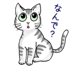Stray cats in the garden. + kittens sticker #15553093
