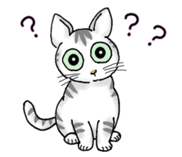 Stray cats in the garden. + kittens sticker #15553095