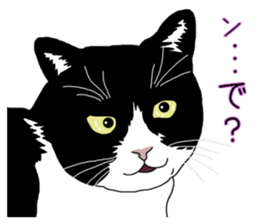 Stray cats in the garden. + kittens sticker #15553096
