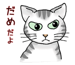 Stray cats in the garden. + kittens sticker #15553100