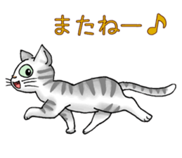 Stray cats in the garden. + kittens sticker #15553103