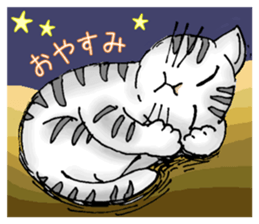Stray cats in the garden. + kittens sticker #15553105