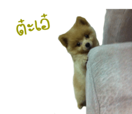 My name is Birthday sticker #15553331