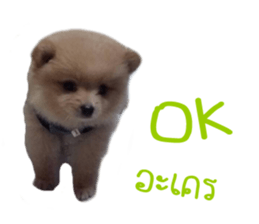 My name is Birthday sticker #15553332