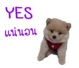 My name is Birthday sticker #15553333