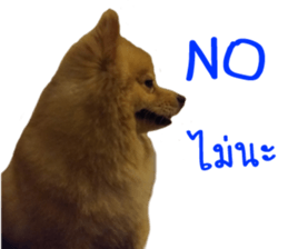 My name is Birthday sticker #15553334