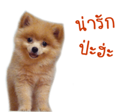 My name is Birthday sticker #15553336