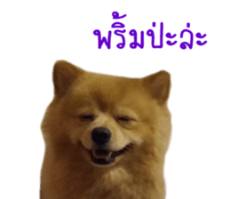 My name is Birthday sticker #15553337