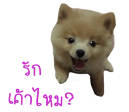 My name is Birthday sticker #15553338