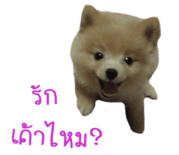 My name is Birthday sticker #15553338