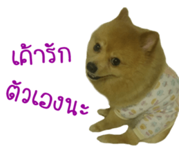 My name is Birthday sticker #15553339