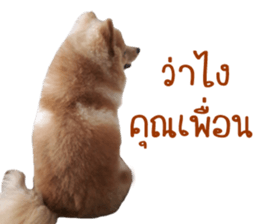 My name is Birthday sticker #15553340