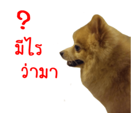 My name is Birthday sticker #15553341