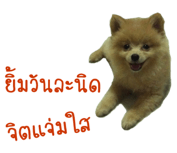 My name is Birthday sticker #15553342