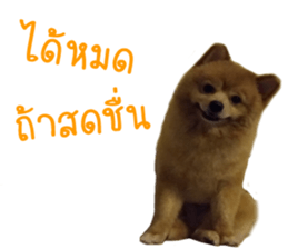 My name is Birthday sticker #15553343