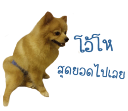 My name is Birthday sticker #15553344