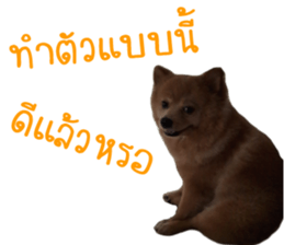 My name is Birthday sticker #15553345