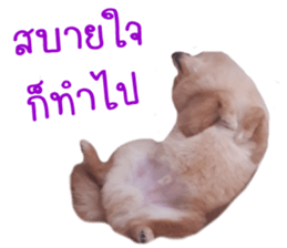 My name is Birthday sticker #15553346