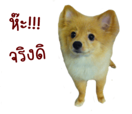 My name is Birthday sticker #15553347