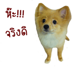 My name is Birthday sticker #15553347