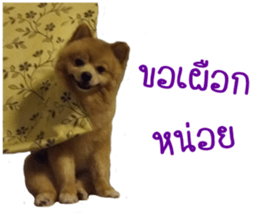 My name is Birthday sticker #15553348