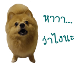 My name is Birthday sticker #15553349