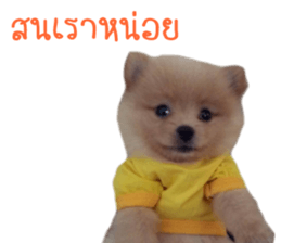 My name is Birthday sticker #15553350