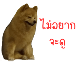 My name is Birthday sticker #15553351