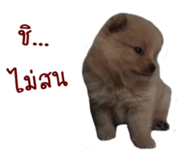 My name is Birthday sticker #15553352