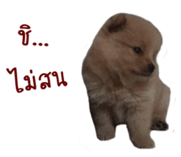 My name is Birthday sticker #15553352