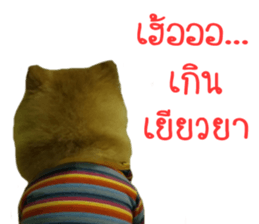 My name is Birthday sticker #15553353