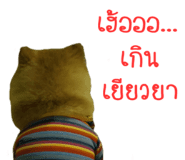 My name is Birthday sticker #15553353