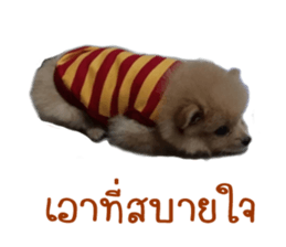 My name is Birthday sticker #15553354