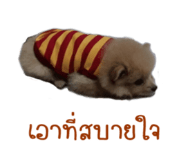 My name is Birthday sticker #15553354