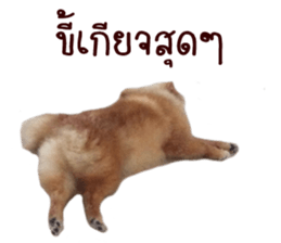 My name is Birthday sticker #15553356