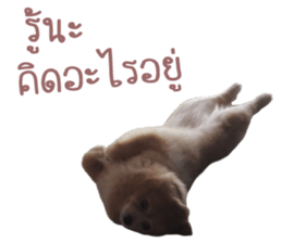 My name is Birthday sticker #15553357