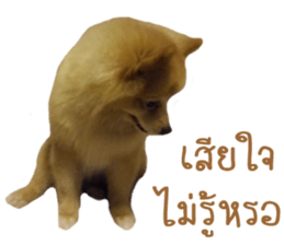 My name is Birthday sticker #15553358