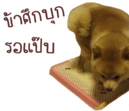 My name is Birthday sticker #15553359