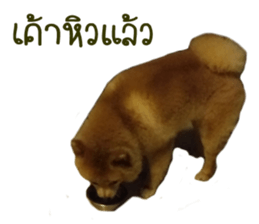 My name is Birthday sticker #15553360