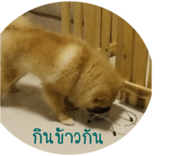 My name is Birthday sticker #15553361