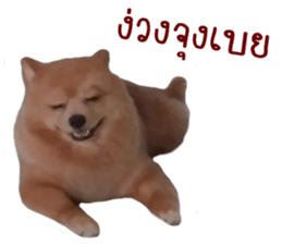 My name is Birthday sticker #15553362