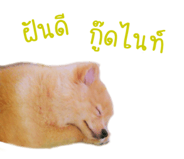 My name is Birthday sticker #15553363