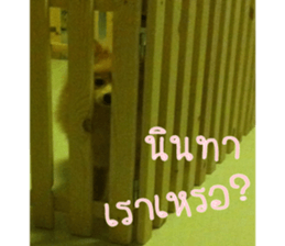 My name is Birthday sticker #15553364