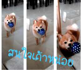 My name is Birthday sticker #15553365