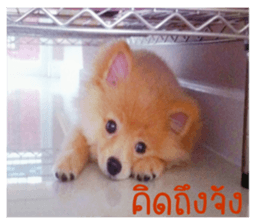 My name is Birthday sticker #15553366