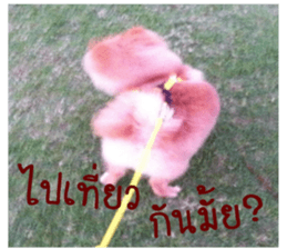 My name is Birthday sticker #15553367