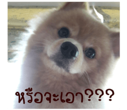 My name is Birthday sticker #15553369