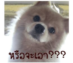 My name is Birthday sticker #15553369